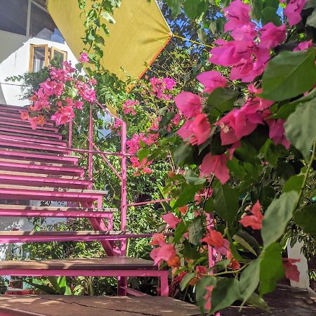 Michele'S Garden Bed and Breakfast Anjuna Exterior foto