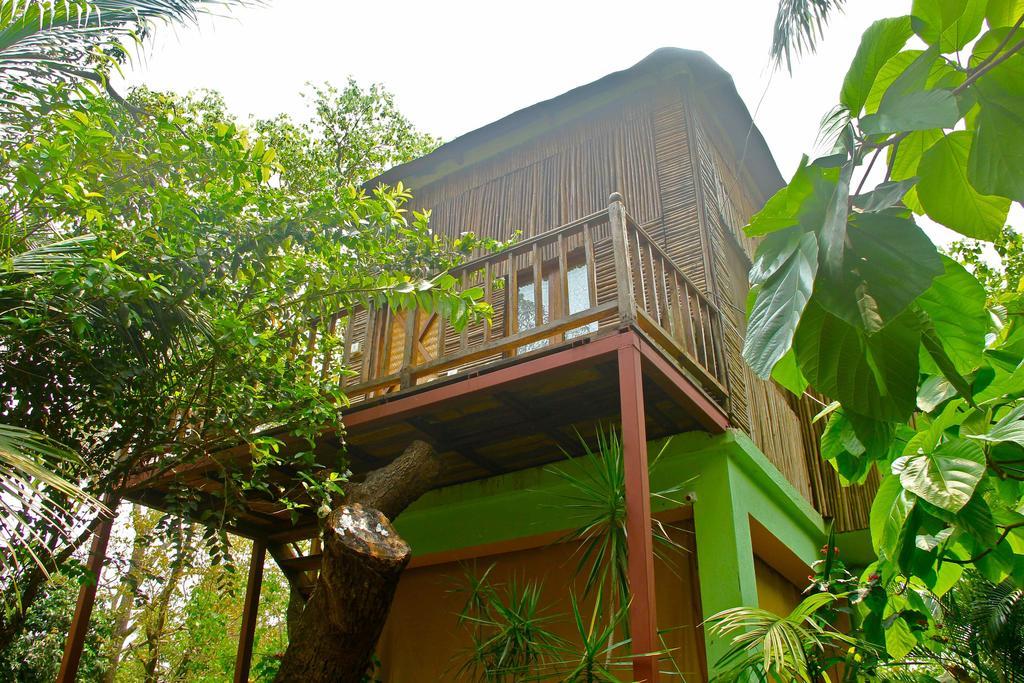 Michele'S Garden Bed and Breakfast Anjuna Habitación foto