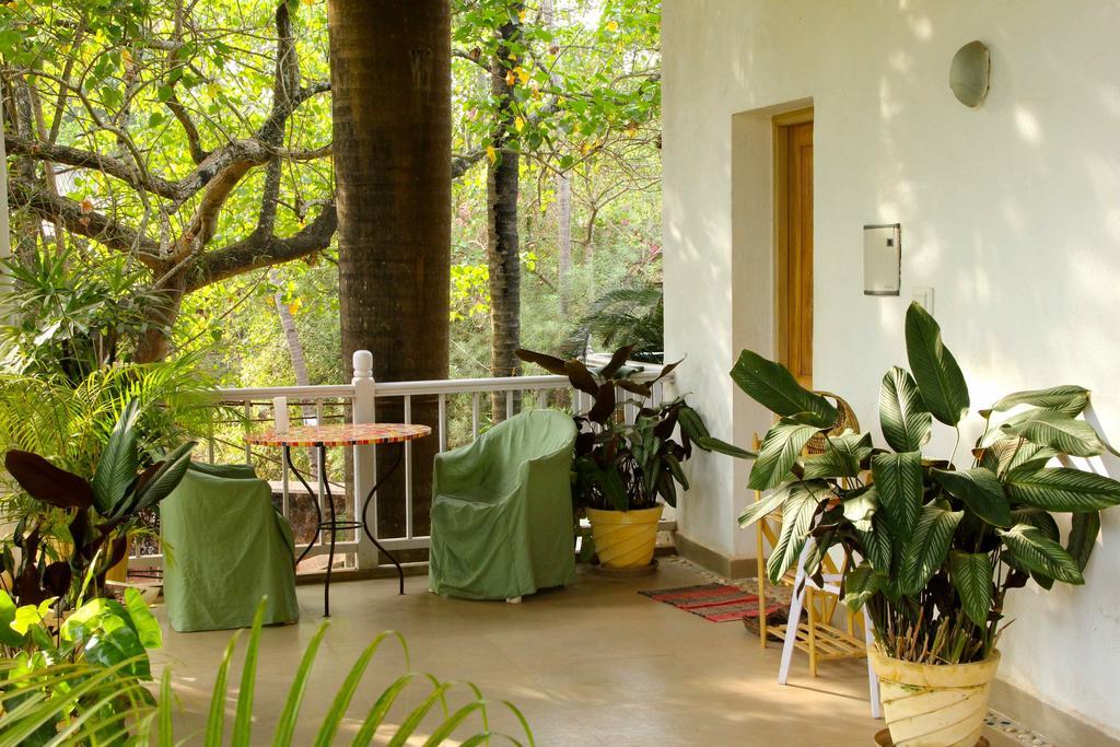 Michele'S Garden Bed and Breakfast Anjuna Habitación foto