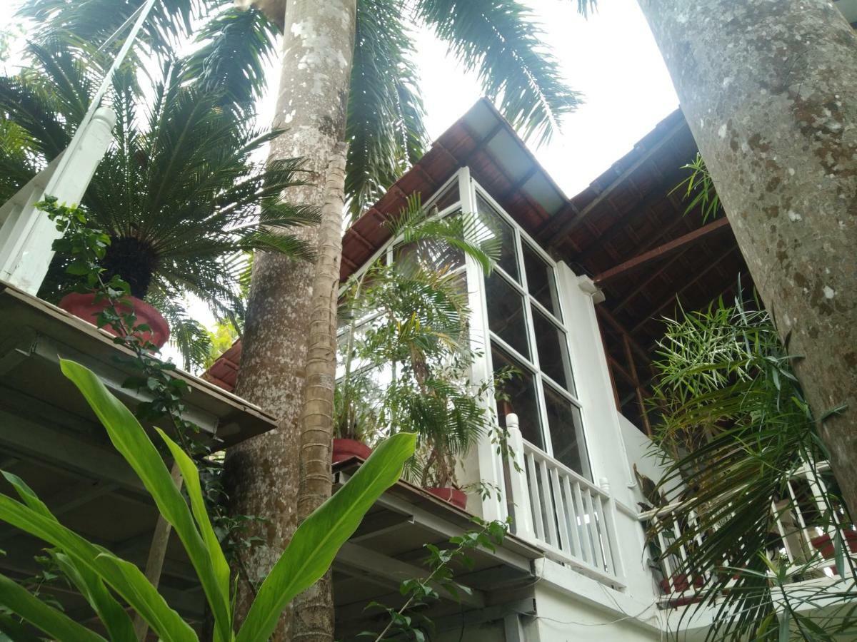 Michele'S Garden Bed and Breakfast Anjuna Exterior foto